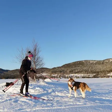 Σπίτι διακοπών Luxury Norwegian